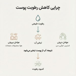 چرا پوست رطوبتش را از دست می دهد