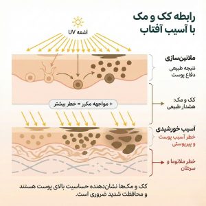 مکانیسم آسیب پوستی: نمودار دولایه نشان‌دهنده پاسخ طبیعی ملانین در برابر شکست کلاژن، پیری و ریسک ملانوما