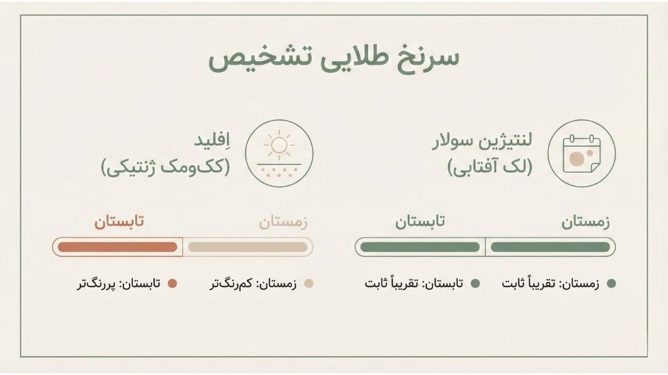 اینفوگرافیک تشخیص انواع کک و مک بر اساس تغییر فصلی در اِفِلید و ثابت بودن لنتیژین سولار