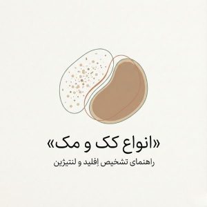 تصویر هدر مینیمال درباره انواع کک و مک و تفاوت اِفِلید و لنتیژین برای مقاله آموزشی هانالایف