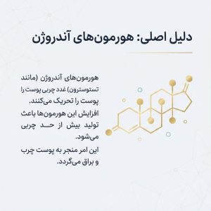 تصویر شماتیک مولکول هورمون آندروژن به عنوان علت اصلی ایجاد پوست چرب و ترشح سبوم.