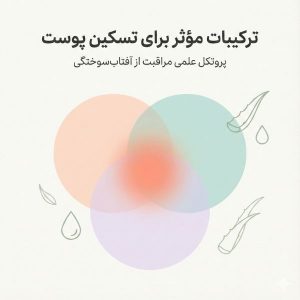 دیاگرام ترکیبات سینرژیک مواد تسکین‌دهنده پوست آفتاب‌سوخته با عناصر آلوئه‌ورا و آب