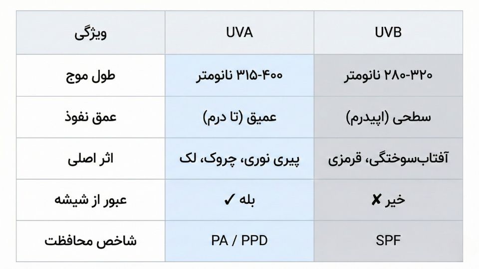 اینفوگرافیک مقایسه اشعه UVA و UVB شامل اثر، عمق نفوذ، عبور از شیشه و معیار محافظت SPF و PA