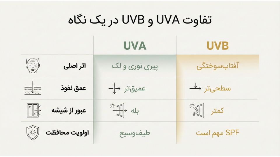 اینفوگرافیک مقایسه اشعه UVA و UVB از نظر اثر روی پوست، عمق نفوذ و عبور از شیشه