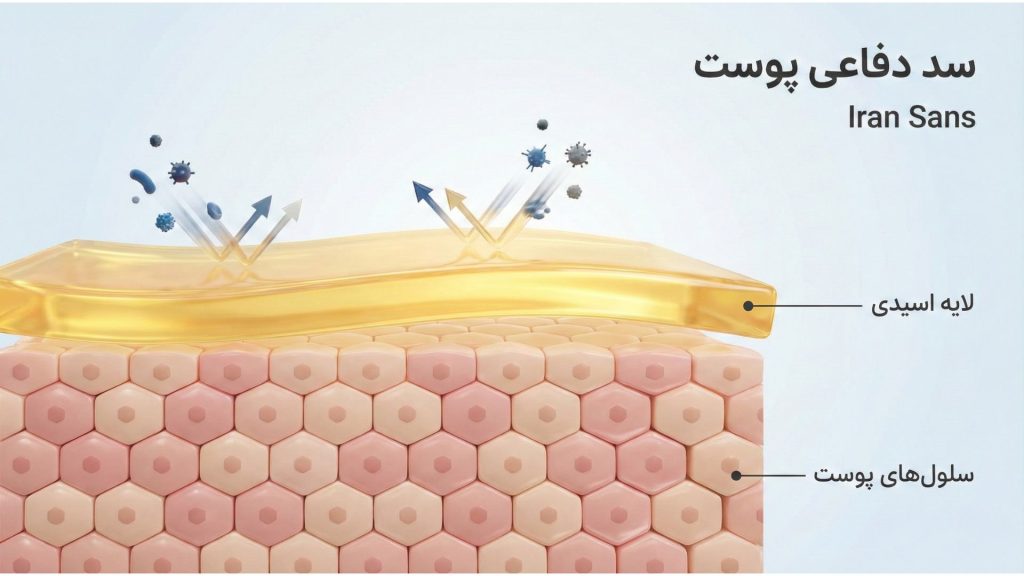 اینفوگرافیک عملکرد سد دفاعی پوست؛ نقش سبوم در محافظت از صورت در برابر آلودگی و باکتری.