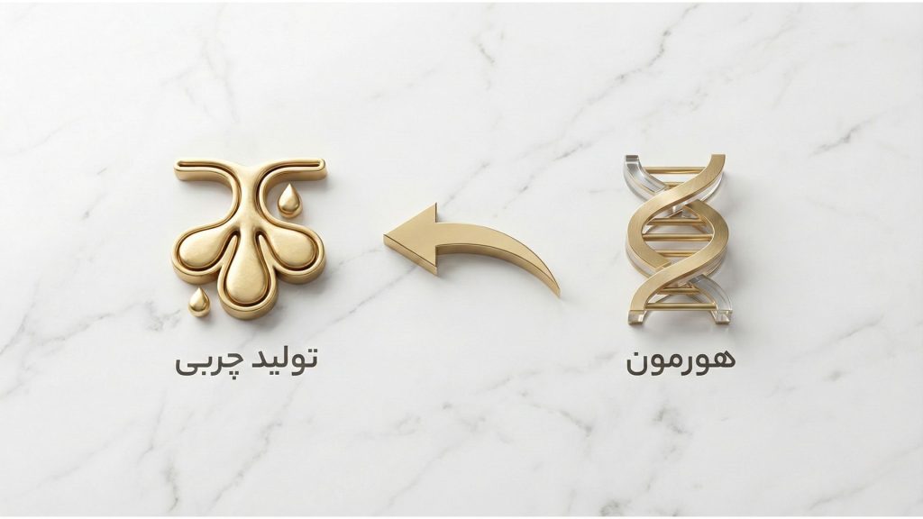 نمودار عوامل تاثیرگذار بر تولید چربی پوست شامل هورمون‌ها، تغذیه و سن.