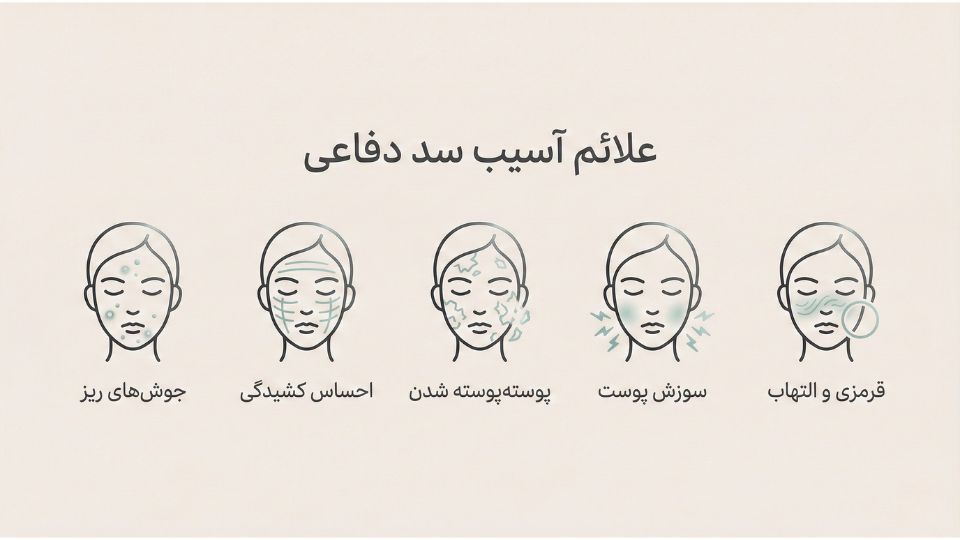 اینفوگرافیک پنج علامت اصلی آسیب سد دفاعی پوست شامل قرمزی، سوزش و خشکی