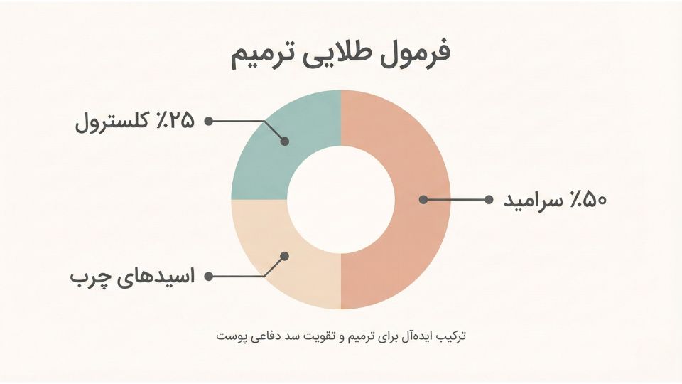 نمودار دایرهای نسبت طلایی چربیهای پوست شامل ۵۰ درصد سرامید، ۲۵ درصد کلسترول و اسیدهای چرب