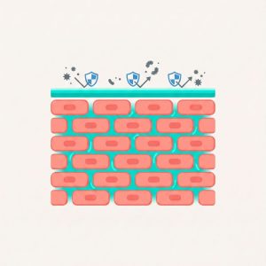 تصویر نمادین از سد دفاعی سالم و آسیب‌دیده پوست