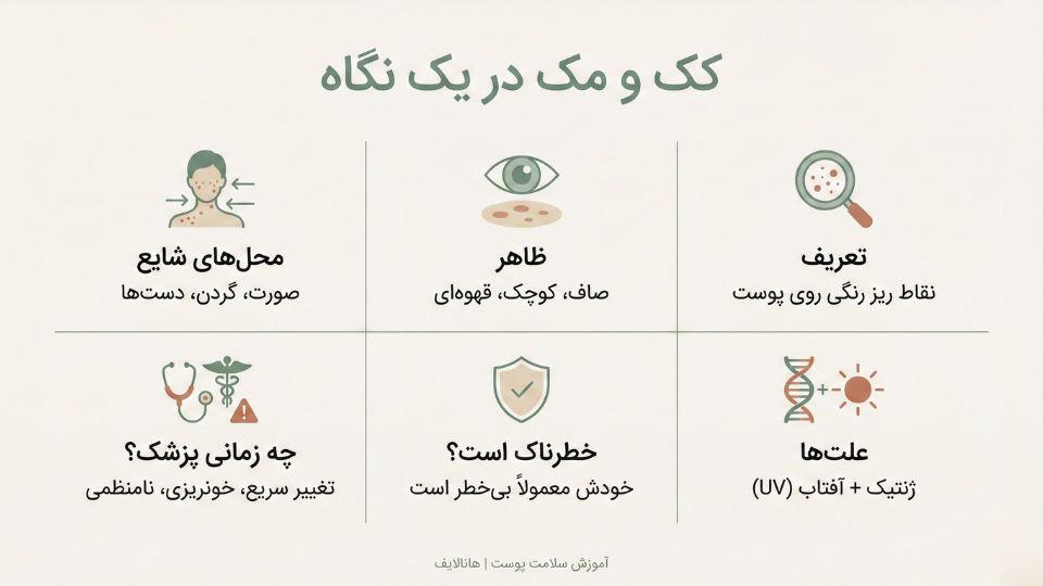 «اینفوگرافیک کک و مک چیست؛ تعریف، ظاهر، علت (ژنتیک و آفتاب)، بی‌خطر بودن و زمان مراجعه به پزشک»