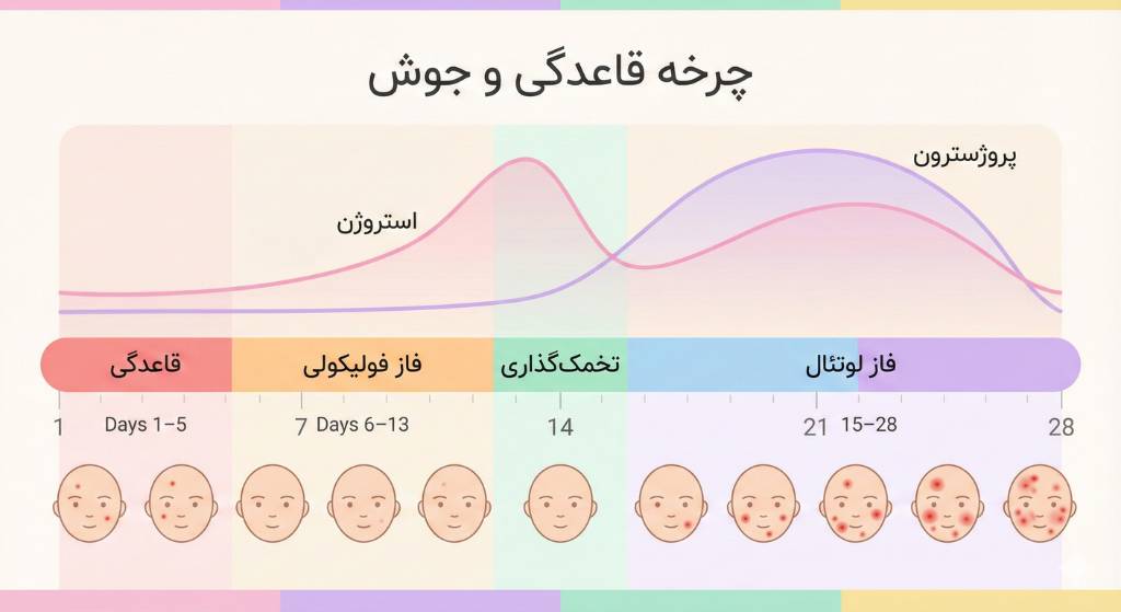چرخه جوش قاعدگی یا پریودی