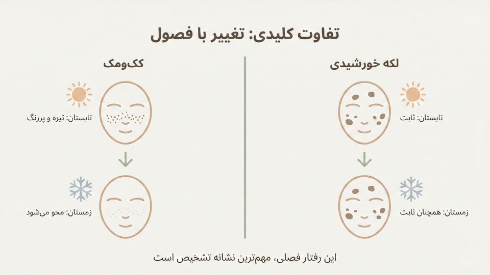 اینفوگرافیک مقایسه تغییرات فصلی کک‌ومک و لکه خورشیدی: کک‌ومک در زمستان محو می‌شود اما سولار لنتیگو ثابت است 