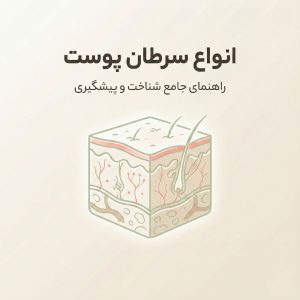 تصویر شماتیک لایه‌های پوست برای مقاله انواع سرطان پوست - طراحی مینیمال آموزشی