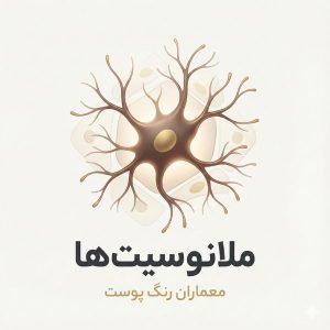 تصویر مینیمال و لوکس سلول ملانوسیت با شاخک‌های دندریتیک که عنوان مقاله ملانوسیت‌ها را نمایش می‌دهد