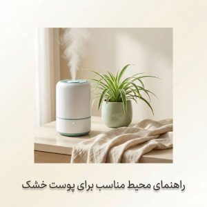 تصویر محیط خانه آرام با دستگاه بخور، گیاه آپارتمانی و پارچه پنبه‌ای برای پوست خشک