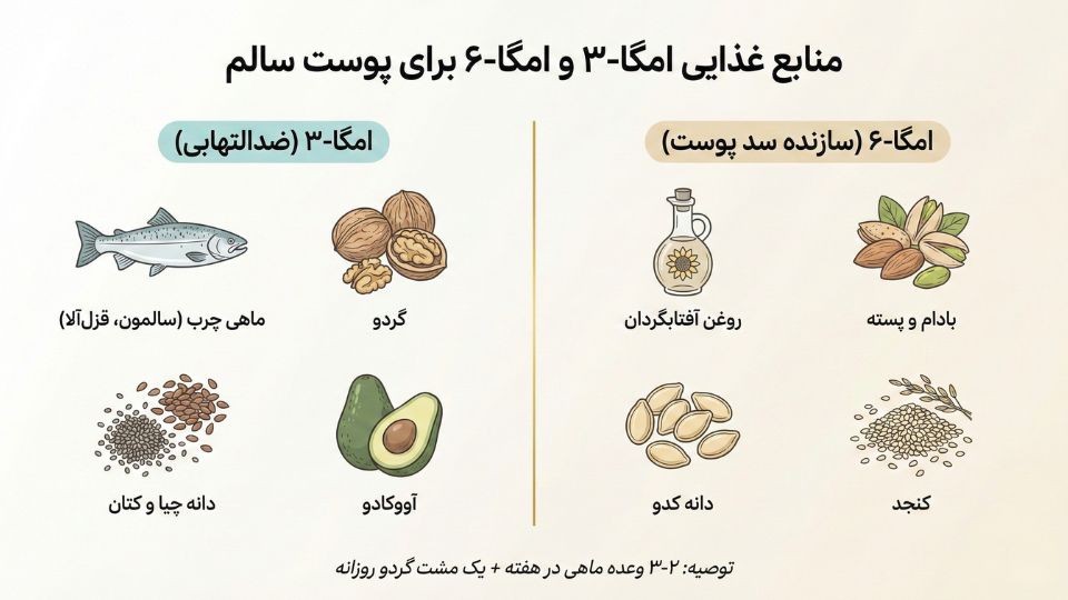 اینفوگرافیک منابع غذایی امگا-۳ و امگا-۶ شامل ماهی، گردو، دانه‌ها و روغن‌های گیاهی برای تقویت سد پوست