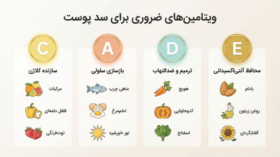 اینفوگرافیک ویتامین‌های E، D، A و C برای سلامت پوست همراه با منابع غذایی هر کدام