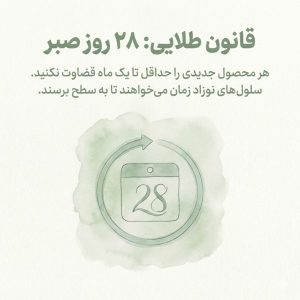 تصویر سازی انتزاعی از لایههای پوست که شبیه یک پلهبرقی سلولها را از پایین به بالا میفرستد؛ نماد چرخه نوسازی پوست.