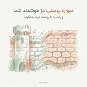 تصویرسازی هنری از تبدیل دیوار دژ به سلولهای پوستی، نماد سد محافظ پوست و هوشمندی آن.