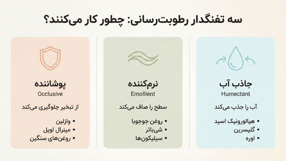 اینفوگرافیک سه ستونی توضیح مکانیسم‌های مرطوب‌کننده: همکتانت جاذب آب، امولینت نرم‌کننده و اکلوسیو پوشاننده با مثال‌های ترکیبات 