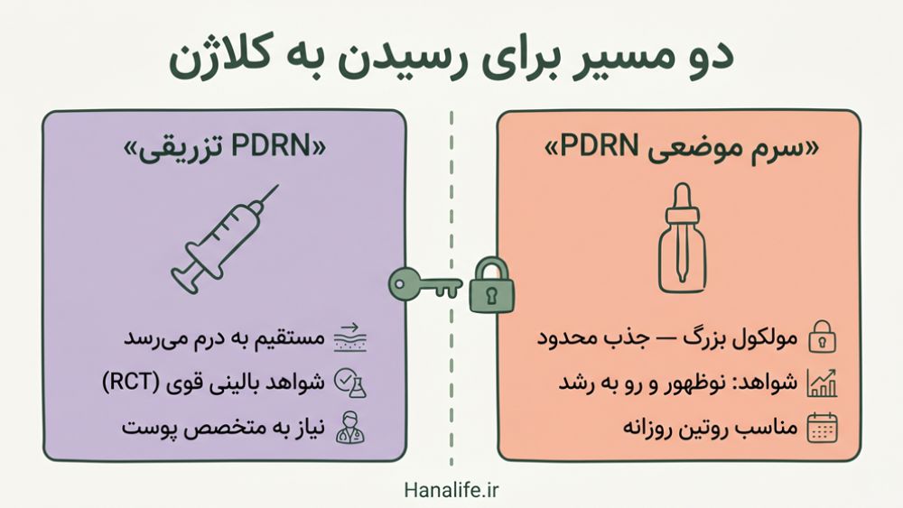 مقایسه بصری PDRN تزریقی و سرم موضعی PDRN از نظر شواهد کلاژن‌سازی، جذب و کاربرد