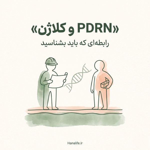 تصویر مفهومی PDRN و کلاژن با استعاره معمار (PDRN) و بنّا (فیبروبلاست) در سبک خطی مینیمال