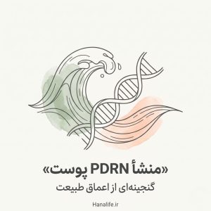 تصویری مینیمال از ترکیب امواج آب و رشته ژنتیکی DNA که نشان‌دهنده منشأ PDRN و کاربرد آن برای شادابی پوست است.