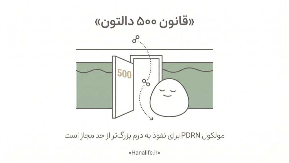 تصویر قانون ۵۰۰ دالتون و محدودیت نفوذ مولکول PDRN در پوست
