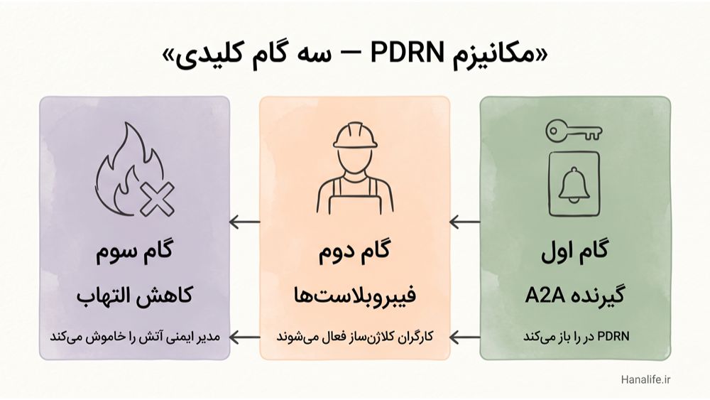 اینفوگرافیک سه مرحله‌ای مکانیزم PDRN: گیرنده A2A، فعال‌سازی فیبروبلاست، کاهش التهاب