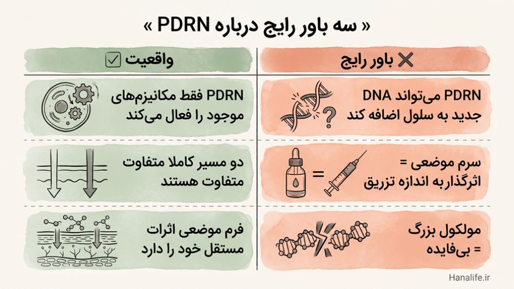 کارت اشتباهات رایج درباره مکانیزم PDRN — سه باور غلط در مقابل واقعیت علمی