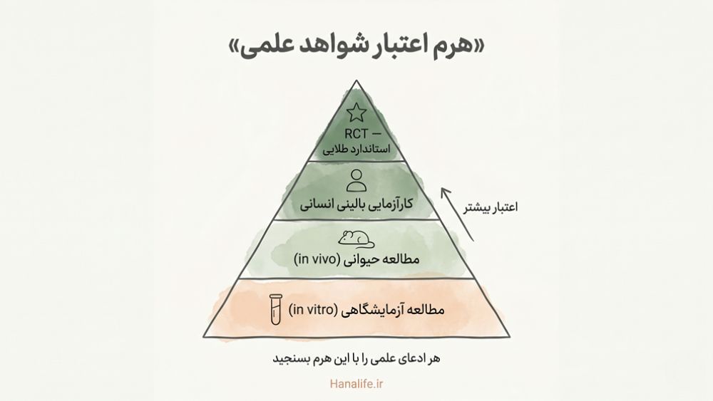 اینفوگرافیک هرم شواهد علمی PDRN — از مطالعه in vitro تا RCT استاندارد طلایی در تحقیقات پوست