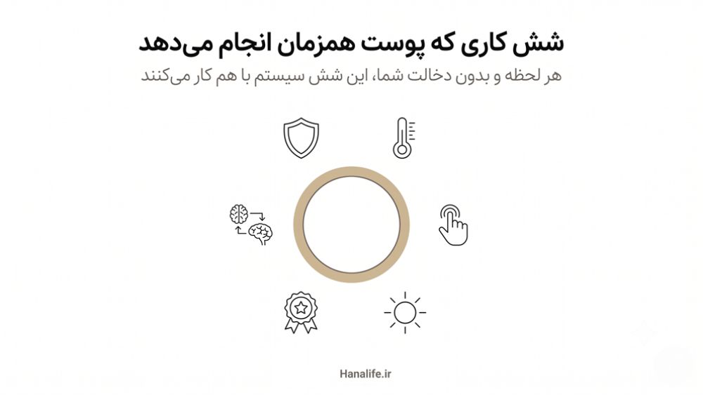 اینفوگرافیک شش وظیفه همزمان پوست در یک نمودار دایره‌ای — وظایف پوست