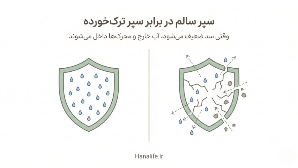 مقایسه سد پوستی سالم و آسیب‌دیده — آب درون سپر سالم محبوس و از سپر ضعیف خارج می‌شود