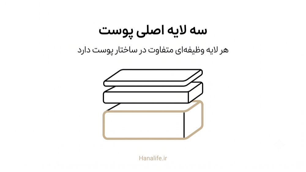 مقطع عرضی پوست با نمایش اپیدرم، درم و هیپودرم — لایه‌های پوست — هانالایف