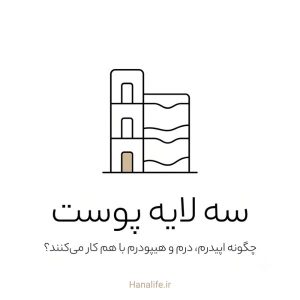 ساختمان سهطبقه بهعنوان استعاره سه لایه پوست — لایههای پوست — هانالایف