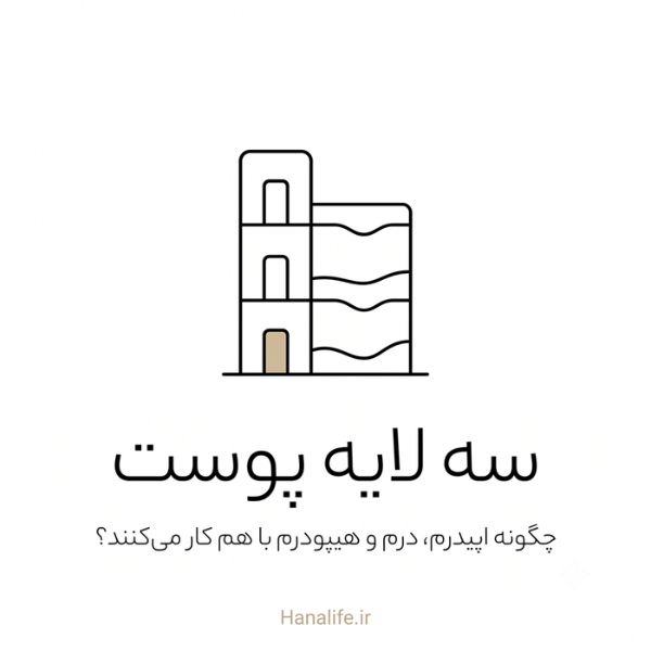 ساختمان سه‌طبقه به‌عنوان استعاره سه لایه پوست — لایه‌های پوست — هانالایف