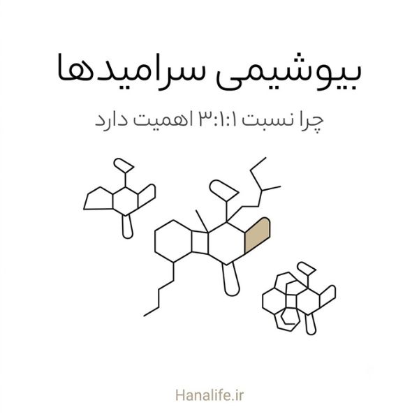 دستور مولکولی سرامید، کلسترول و اسید چرب آزاد در سد پوستی — سرامید پوست — هانالایف
