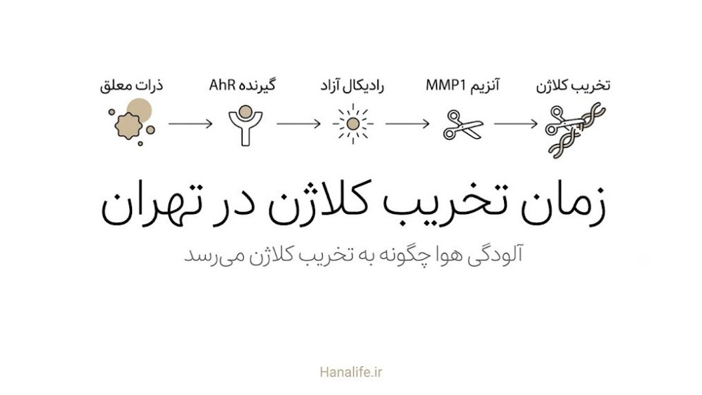 زنجیره پنجمرحلهای آلودگی تا تخریب کلاژن — آلودگی هوا و کلاژن پوست — هانالایف