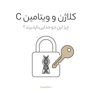 قفل کلاژن و کلید ویتامین C، نماد رابطه کلاژن و ویتامین C در پوست