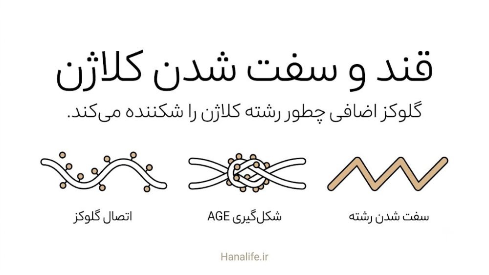 قند و کاهش کلاژن پوست؛ مقایسه رشته کلاژن سالم و رشته سفتشده