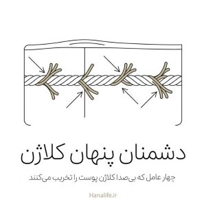 دشمنان کلاژن پوست؛ نمایش چهار عامل تخریبکننده کلاژن روی رشتههای بافت