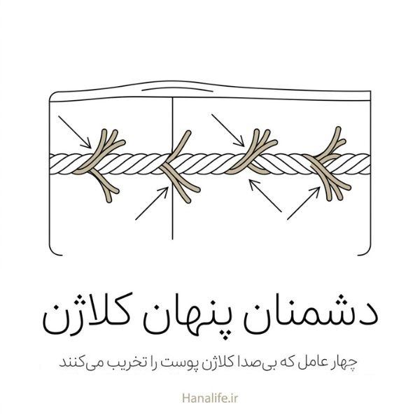 دشمنان کلاژن پوست؛ نمایش چهار عامل تخریبکننده کلاژن روی رشتههای بافت