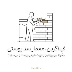 فیلاگرین پوست به شکل معماری در حال ساخت دیوار سد پوستی