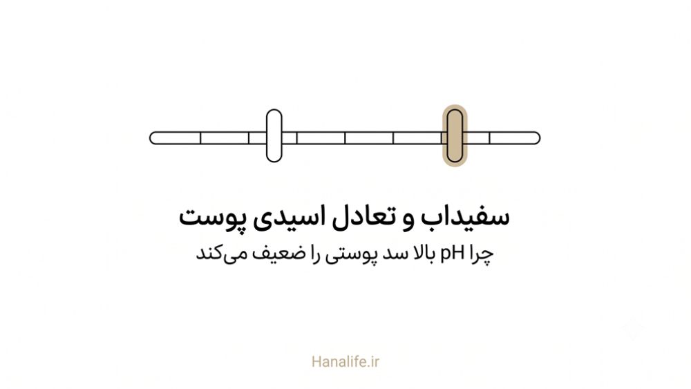 نمودار ساده تغییر pH پوست پس از استفاده سفیداب — سفیداب پوست — هانالایف
