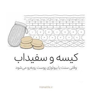 کیسه سنتی در کنار مقطع سد پوستی — کیسه پوست — هانالایف