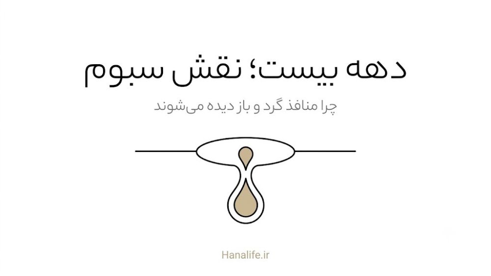ارتباط سبوم و منافذ O شکل در دهه بیست سالگی — هانالایف