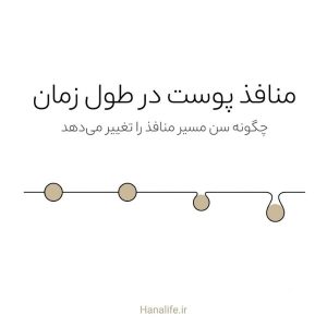 خط زمانی تغییرات منافذ پوست در سن بالا از جوانی تا میانسالی — هانالایف
