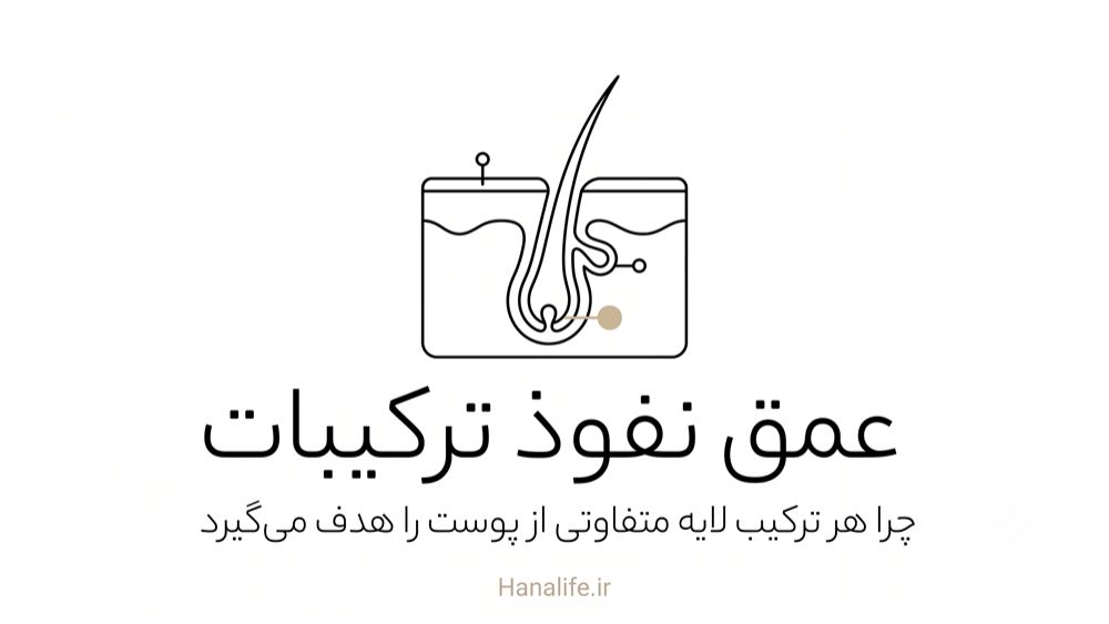 مقطع فولیکول پوست با نشانگر عمق اثر رتینول منافذ و سالیسیلیک اسید منافذ — هانالایف