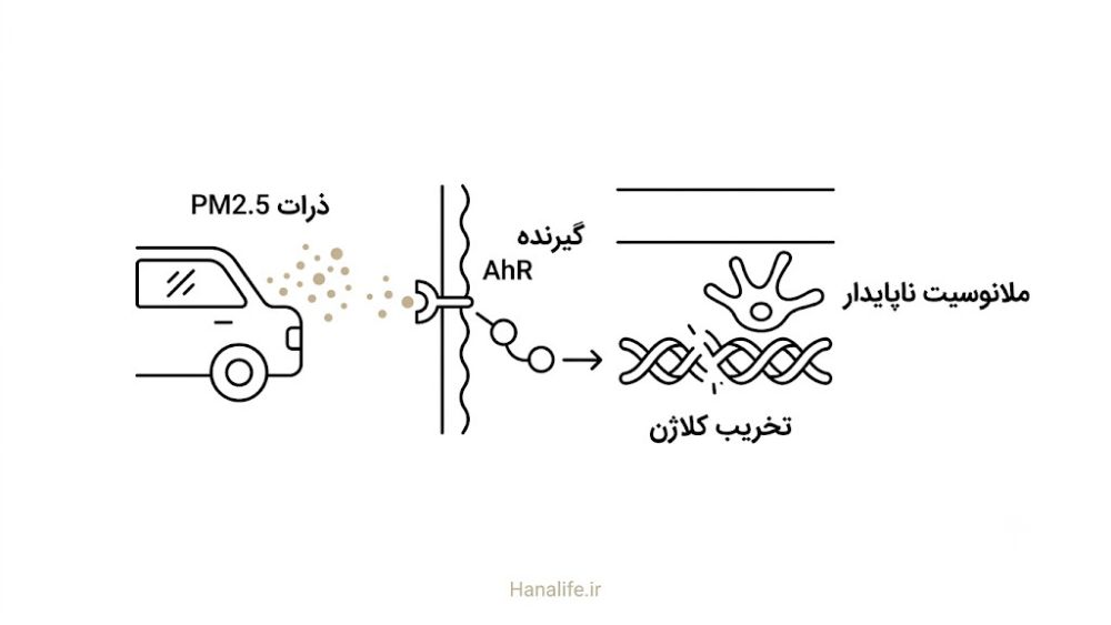  زنجیره آلودگی هوای تهران تا فعال شدن ملانوسیت در ملاسما ایرانی — هانالایف