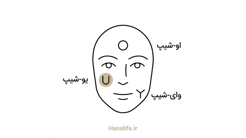 نمای خطی صورت با سه شکل منفذ روی پیشانی و گونه و چانه برای انواع منافذ پوست